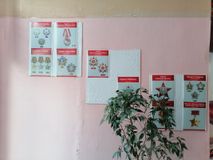 Обновление этажа славы возле школьного музея